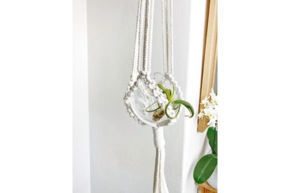Macrame Air Plant Hanger: A Stylish and Functional DIY Display
