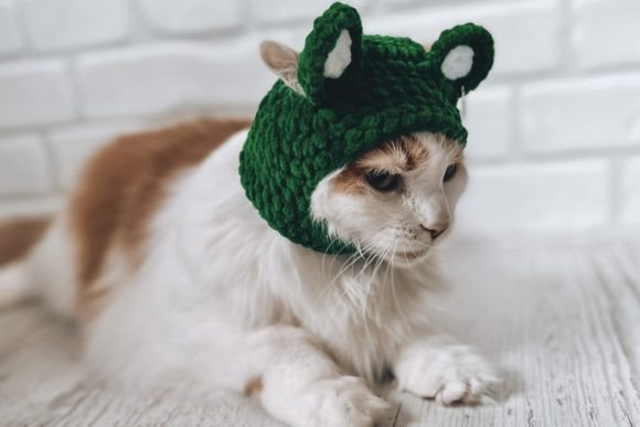 Pets Balaclava Crochet Pattern PDF: A Creative Guide for Pet Lovers and Crafters