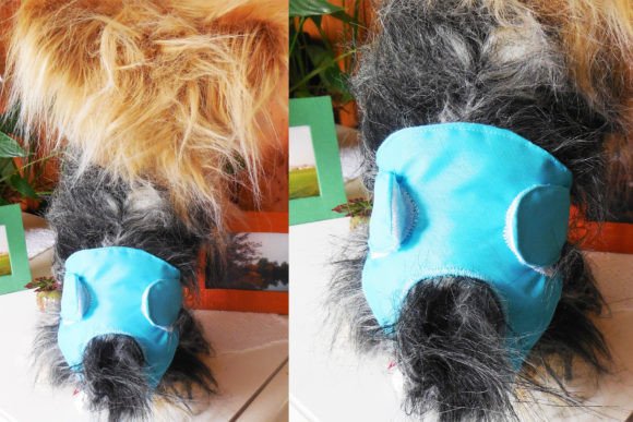 Yorkie Dog Diaper: A Practical Solution for Small Breed Owners